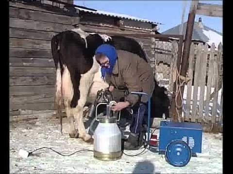 Аппарат доильный для коров Фермер АД-01